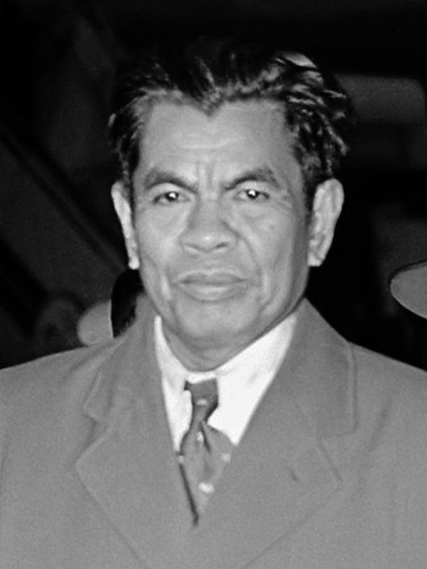 Mohammad Yamin